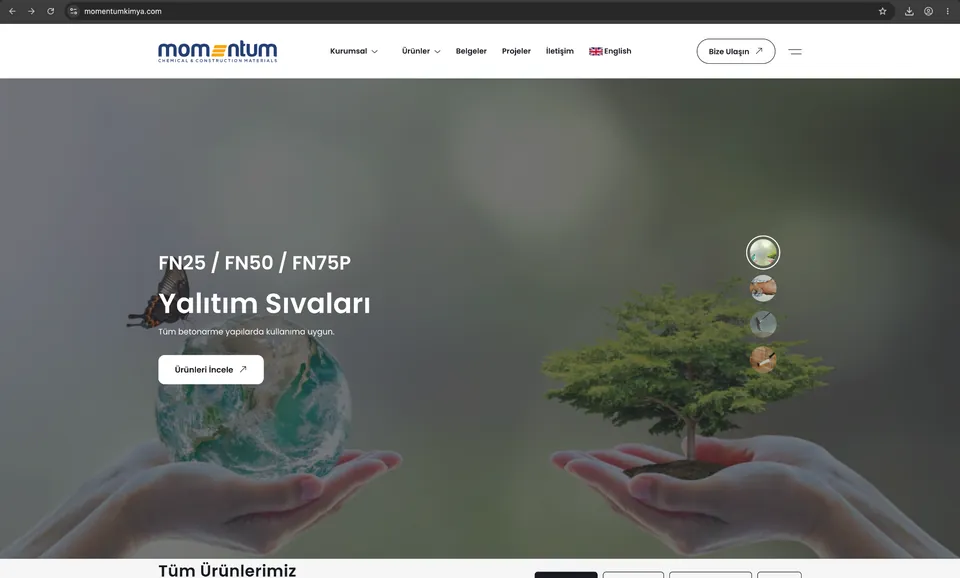 Momentum Kimya